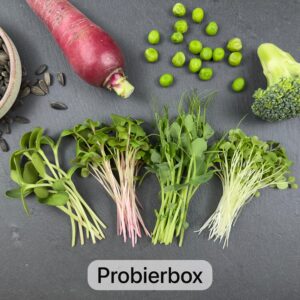 Die Frische Vielfalt -Probierbox-