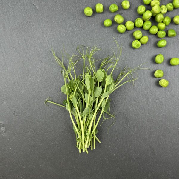 Erbsen Microgreens Abo