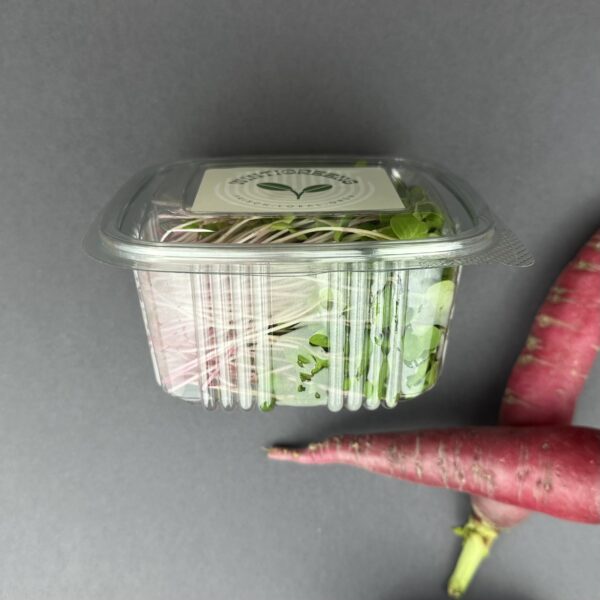 Rettich Microgreens Abo - Image 3
