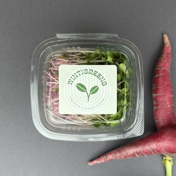 Rettich Microgreens Abo - Image 2