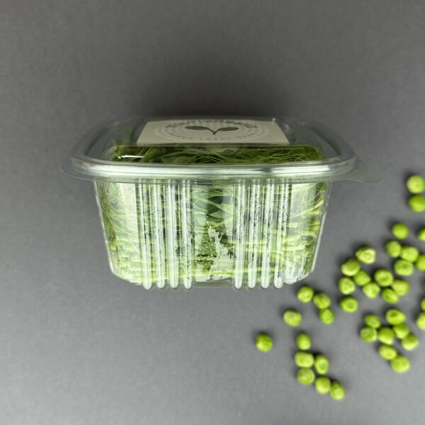 Erbsen Microgreens Abo - Image 3