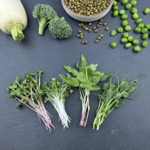 Die Frische Vielfalt Abo